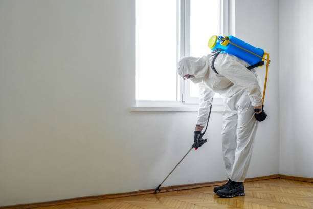 Pest Control for Restaurants in Nicholson, GA