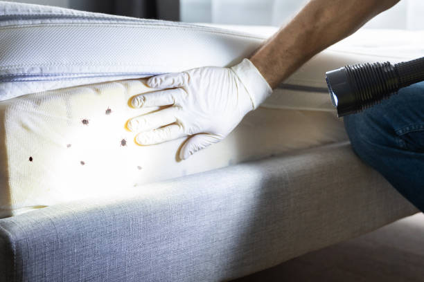 Best Pest Inspection Near Me  in Nicholson, GA