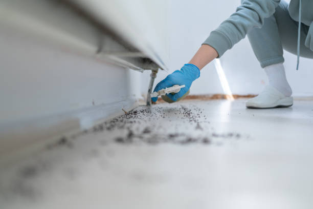 Best Termite Control Services  in Nicholson, GA